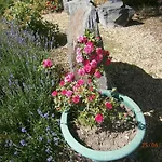 Le Pre De La Fontaine *