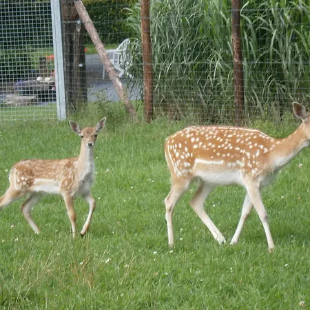 Le Pre De La Fontaine Chalet
