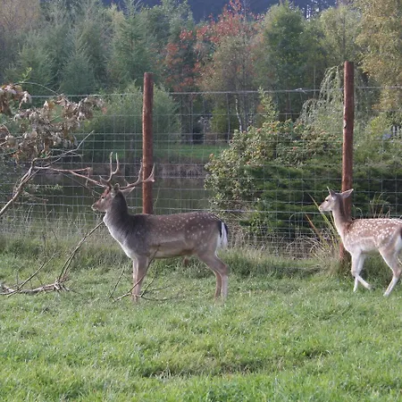Le Pre De La Fontaine Chalet