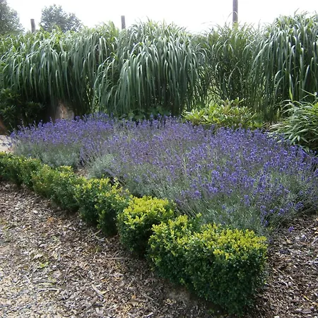 Le Pre De La Fontaine * Paliseul