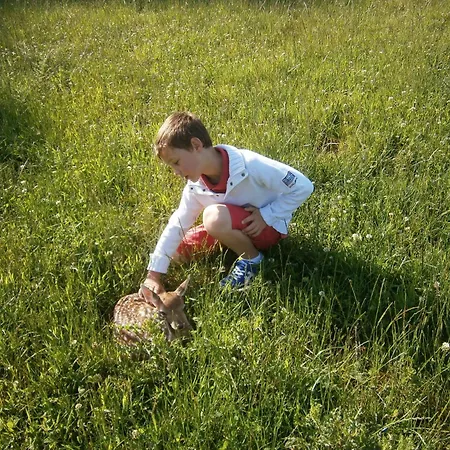 Le Pre De La Fontaine Chalé