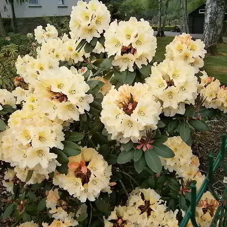 Le Pre De La Fontaine *